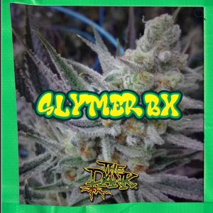 Slymer BX (Fems)