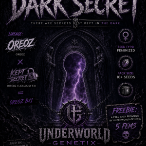 Dark Secret