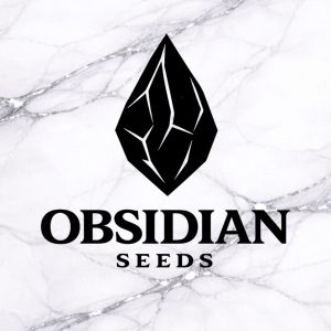 Obsidian Seeds