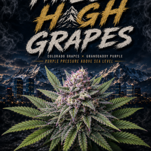 Mile High Grapes